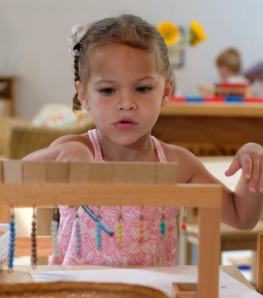 Be Curious at Montessori School of Denver | MSD's primary program fosters curiosity