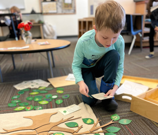Montessori School of Denver Admissions to Lower Elementary or Grades 1-3